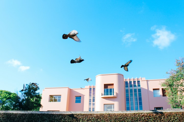a group of people flying kites in front of a building