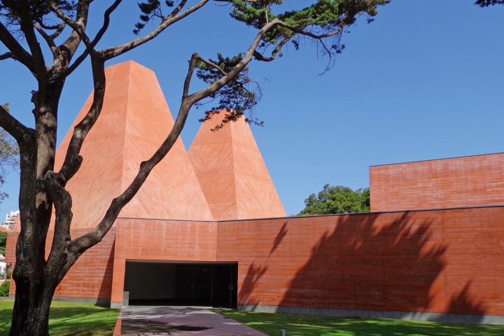 a tree in front of a building