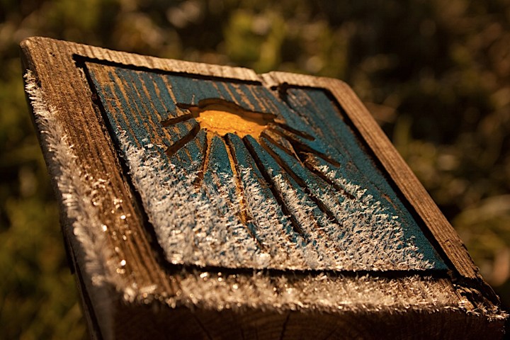 a close up of a bench