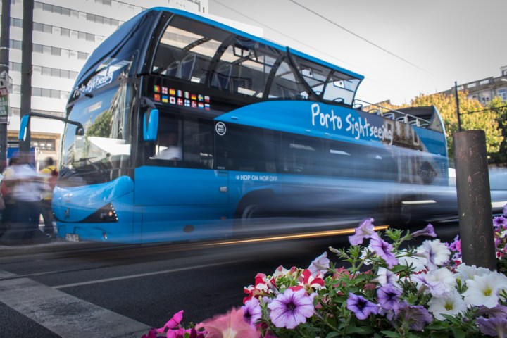 a blue bus parked on the side of a flower