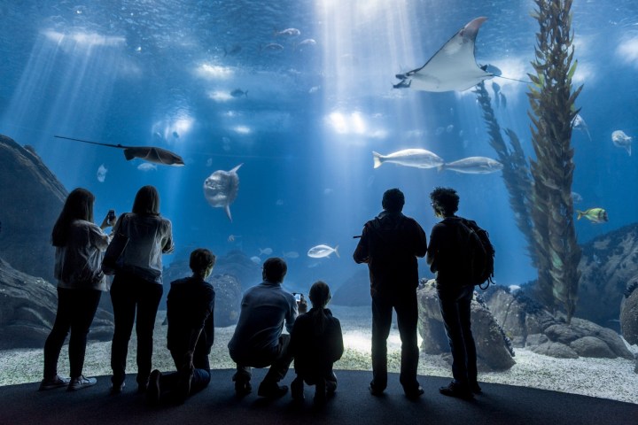 a group of people standing in front of a crowd