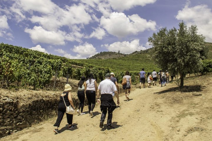 a group of people walking down a dirt road
