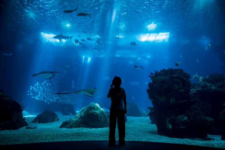 a man standing in front of a pool of water