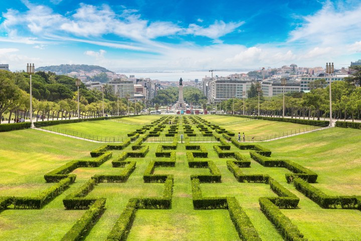 a view of a lush green field