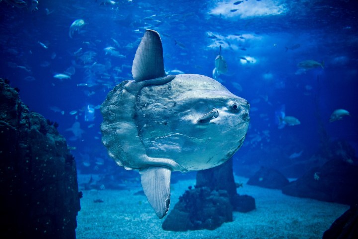 underwater view of the water