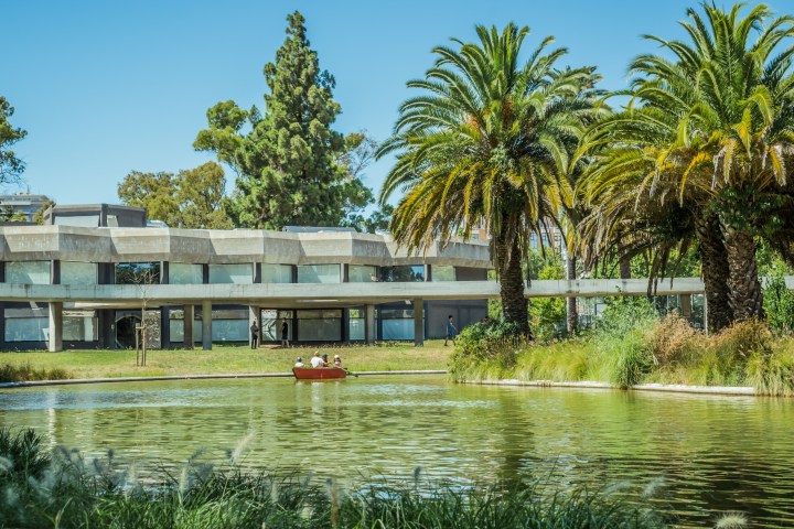 a pond with palm trees and a body of water