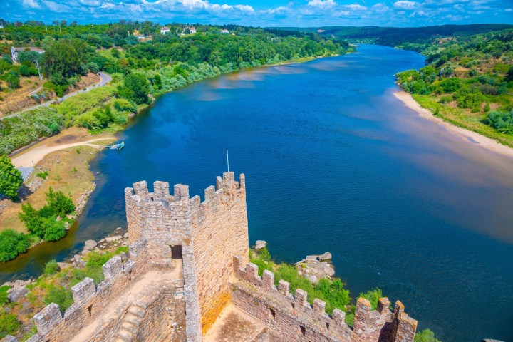 a close up of a hillside next to a body of water