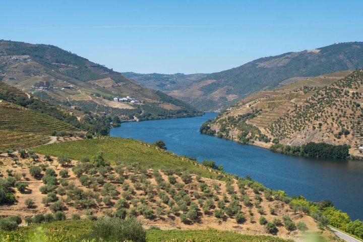 Scenic view of a river winding between hills with vineyards under a clear blue sky.