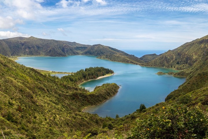 a close up of a hillside next to a body of water