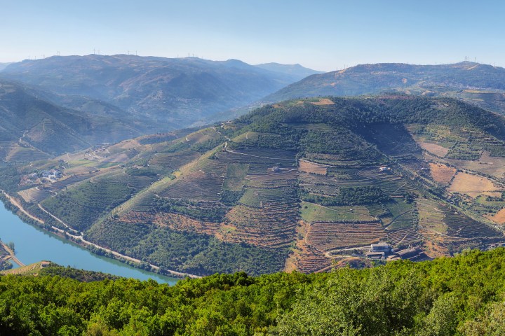 Panoramic view of green hills and a winding river under a clear blue sky.