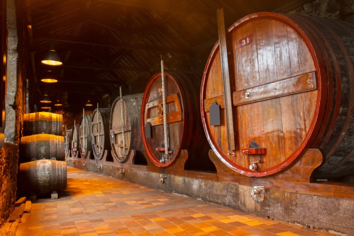 Row of large wooden barrels in a dimly lit wine cellar with brick flooring.