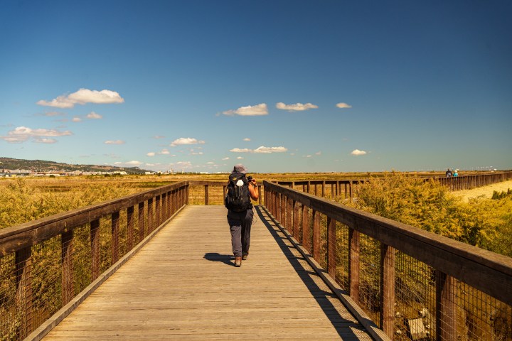 Person with backpack walking on wooden boardwalk under blue sky with clouds.