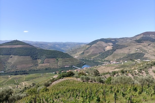 Scenic vineyard landscape with rolling hills and a river under a clear blue sky.