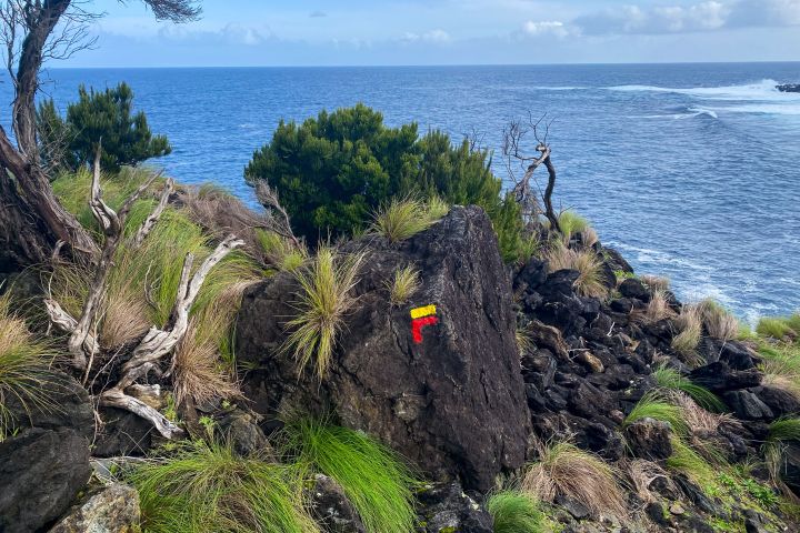 Coastal landscape with rocks, grass, and ocean view; rock marked with red and yellow trail sign.