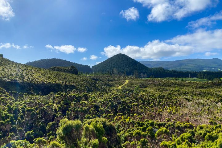 Lush green landscape with hills, trees, and blue sky with clouds.