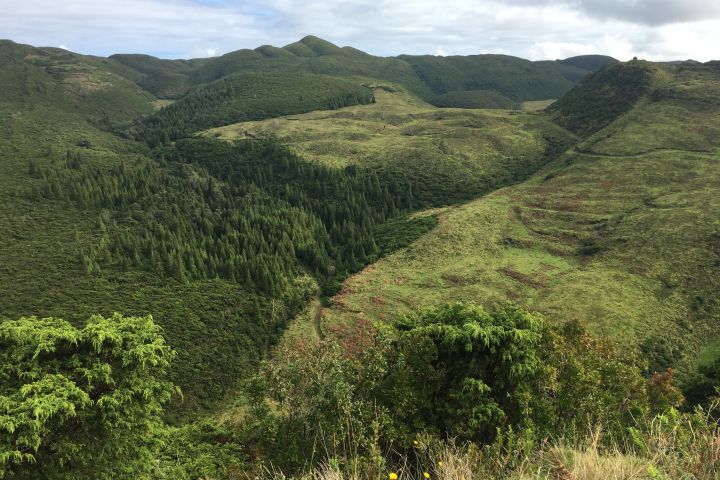 Lush green hilly landscape with dense forests and grassy clearings under a partly cloudy sky.