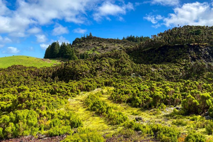 Lush green landscape with hills, grass, and trees under a blue sky with clouds.