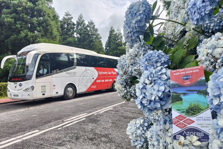 Tour bus on road with blue hydrangeas and sightseeing flyer in the foreground.