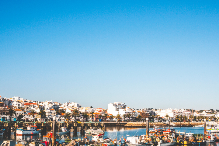 Boats docked at a harbor with a coastal town and clear blue sky in the background.