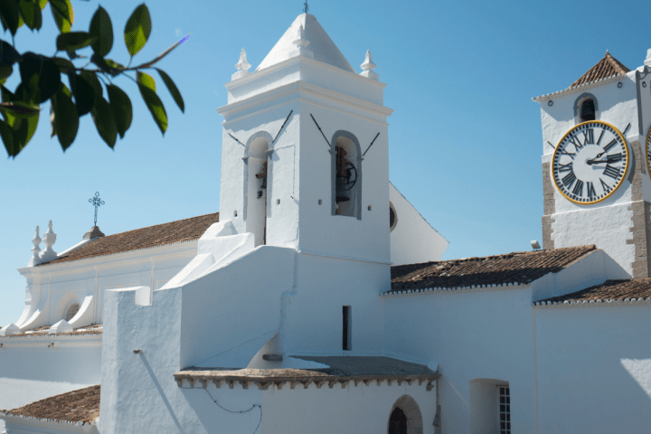 White church with bell tower and clock, clear blue sky, and leafy branch in foreground.