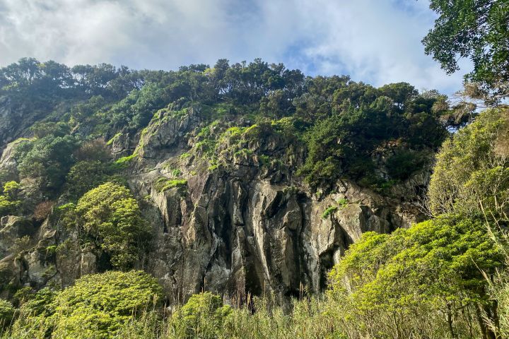 Rocky hillside with lush green trees and shrubs under a partly cloudy sky.