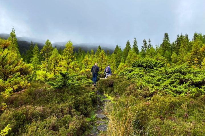 Two people walk through lush green forest under a cloudy sky.