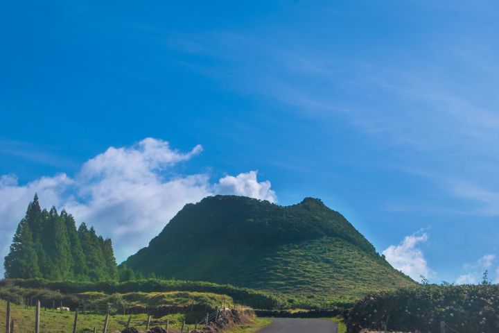 Green hill with trees under a blue sky and fluffy clouds in the background.
