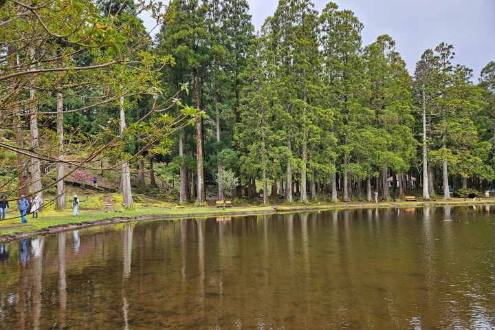 A tranquil lake surrounded by tall trees with people walking along the shore.