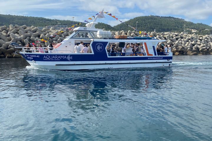 Blue and white boat with passengers on calm water near rocky shoreline.