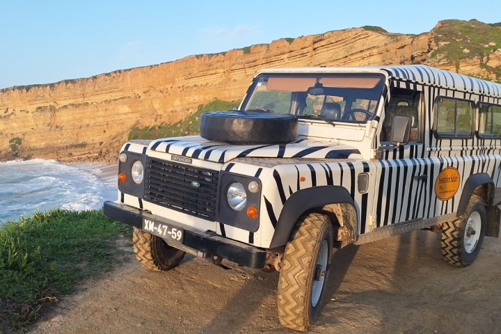 Zebra-patterned off-road vehicle by a coastal cliff.