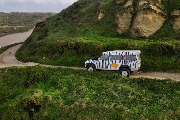 Zebra-patterned safari vehicle on dirt road by green hills.