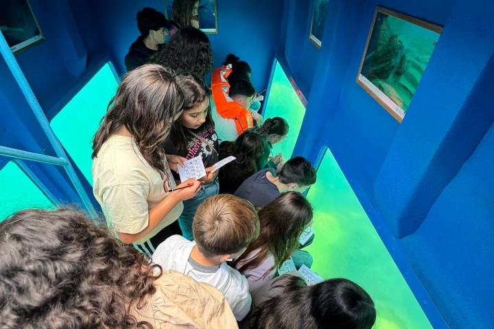 Group of people in a blue-walled submarine looking out windows at sea life.