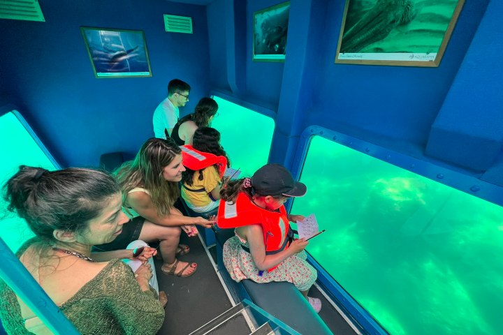 People in a blue underwater observatory looking through large windows.