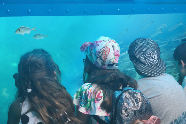 Three children in hats observe fish through an aquarium window.