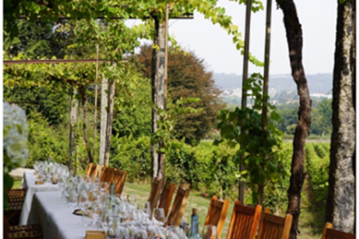 Outdoor table with wine glasses under grapevines, overlooking a vineyard.